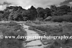 View over the Roaches Rocks, near Leek town