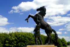 The Newmarket Stallion statue, Newmarket racecourse