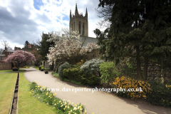 Spring view over St Edmundsbury Cathedral