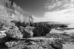 The 7 sisters cliffs from Hope Gap, Seaford Head