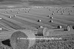 Harvest Bales on the Sussex Downs