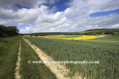 Summer Landscape over Eartham village, South Downs