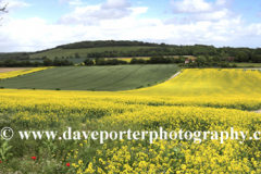 Landscape over Eartham village, South Downs