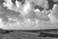 Harvest Bales on the Sussex Downs