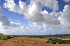 Harvest Bales on the Sussex Downs