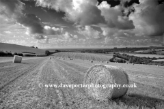 Harvest Bales on the Sussex Downs