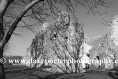 Spring, St Pancras Priory, Lewes priory, Lewes town