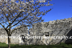 St Pancras Priory, Lewes priory, Lewes town