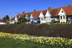 Spring daffodil flowers, Luxury seaside flats, Worthin