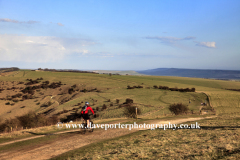 Cyclist on the South Downs Way, Ditchling Beacon