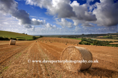 Harvest Straw Bales, river Adur valley, Lancing village