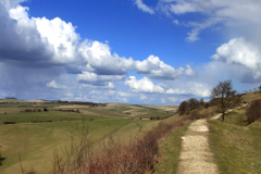 The South Downs Way, Ditchling Beacon