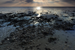 Dawn over Shoreham-By-Sea beach