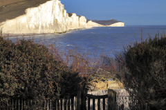 The 7 sisters cliffs from Hope Gap, Seaford Head