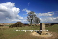 The OS Trig Point, on Cissbury Ring, Worthing