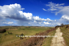 Findon Downs near the village of Findon