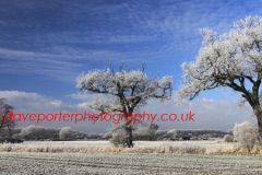 Winter scene, Fenland fields near Ramsey town