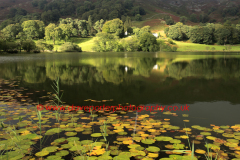 Reflections in Loughrigg Tarn, Lake District