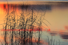 Sunset over a Fenland waterway, Cambridgeshire