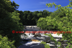 River Ure, Upper falls of Aysgarth Falls, Wensleydale