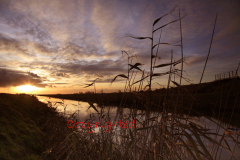 Sunset over a Fenland waterway, Cambridgeshire Fens