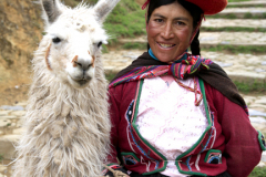 Peruvian woman and Alpaca, Cusco town, Peru