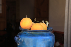 Fruit in a jar, Menorca